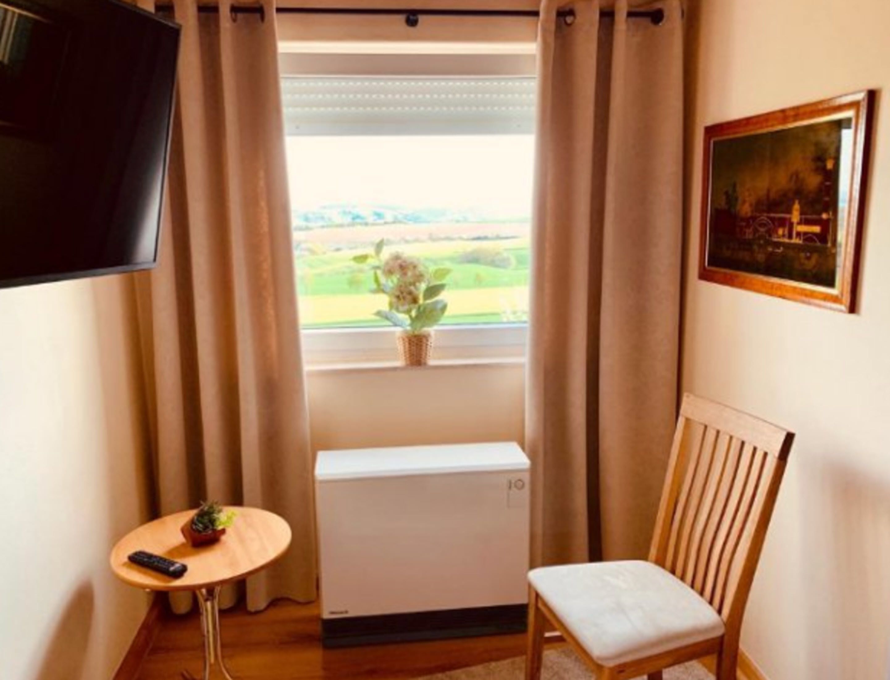 Una habitación con ventana, un radiador, una silla, una mesita con una planta y un televisor fijado a la pared.