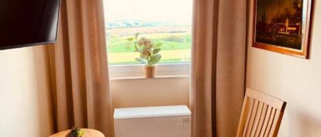 Una habitación con ventana, un radiador, una silla, una mesita con una planta y un televisor fijado a la pared.
