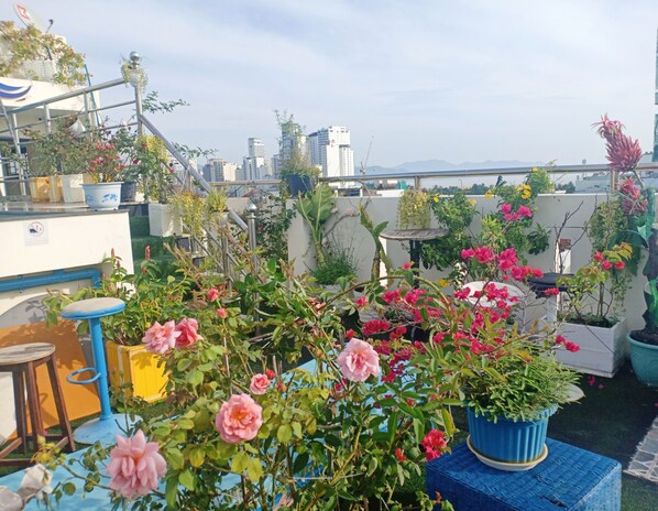 Jardin