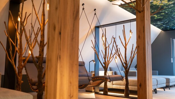 A modern interior with a wooden structure, a hanging chair, and a sofa. - Leinsweiler Hof (Leinsweiler)