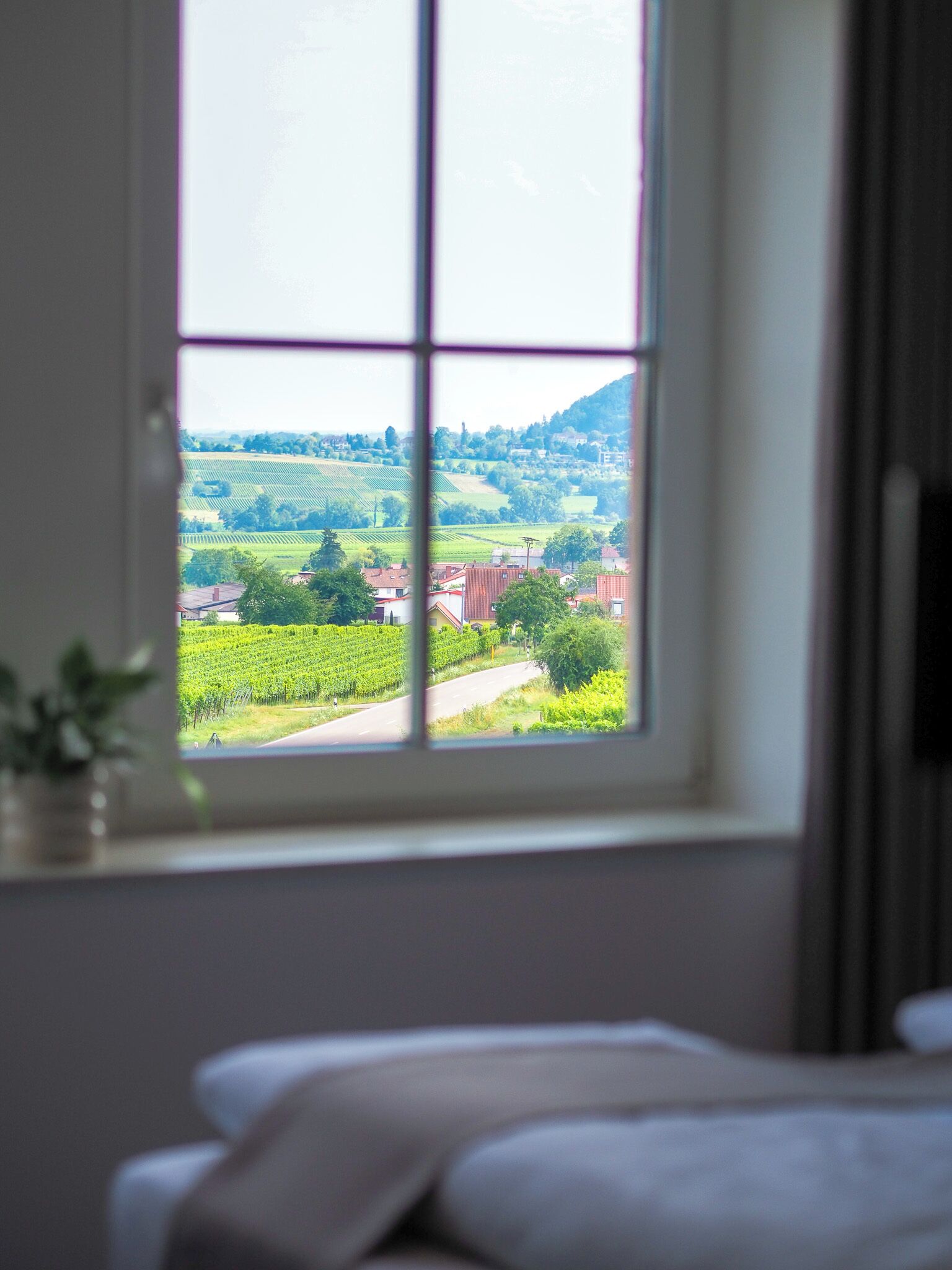A bedroom with a large window overlooking a vineyard and a road.