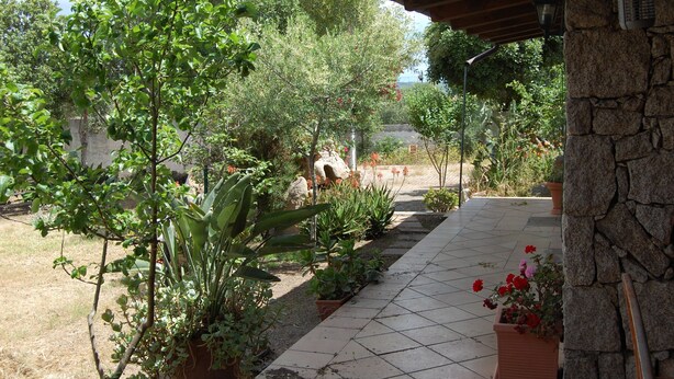 A garden with potted plants and a stone wall. - Isolated villa surrounded by greenery a stone's throw from Olbia (Olbia)