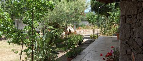 Terrein van de accommodatie