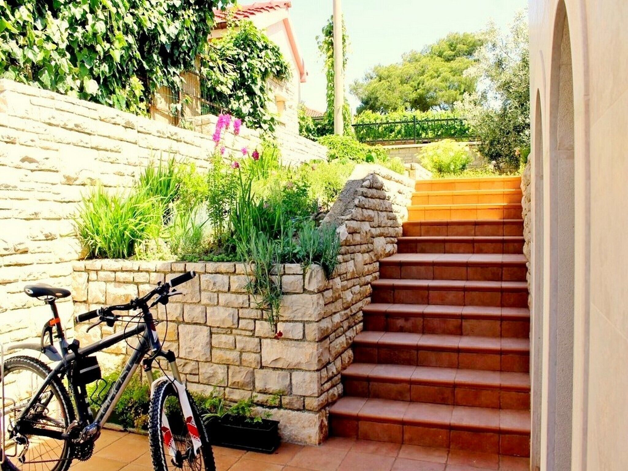 Áreas de la propiedad