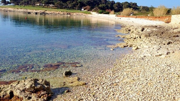 A pebble beach with clear water, a rocky shoreline, and a forested hill in the background. - Apartments Salu (Medulin)