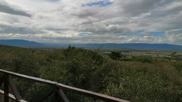 A view from a wooden observation deck overlooking a landscape with distant mountains and a cloudy sky.