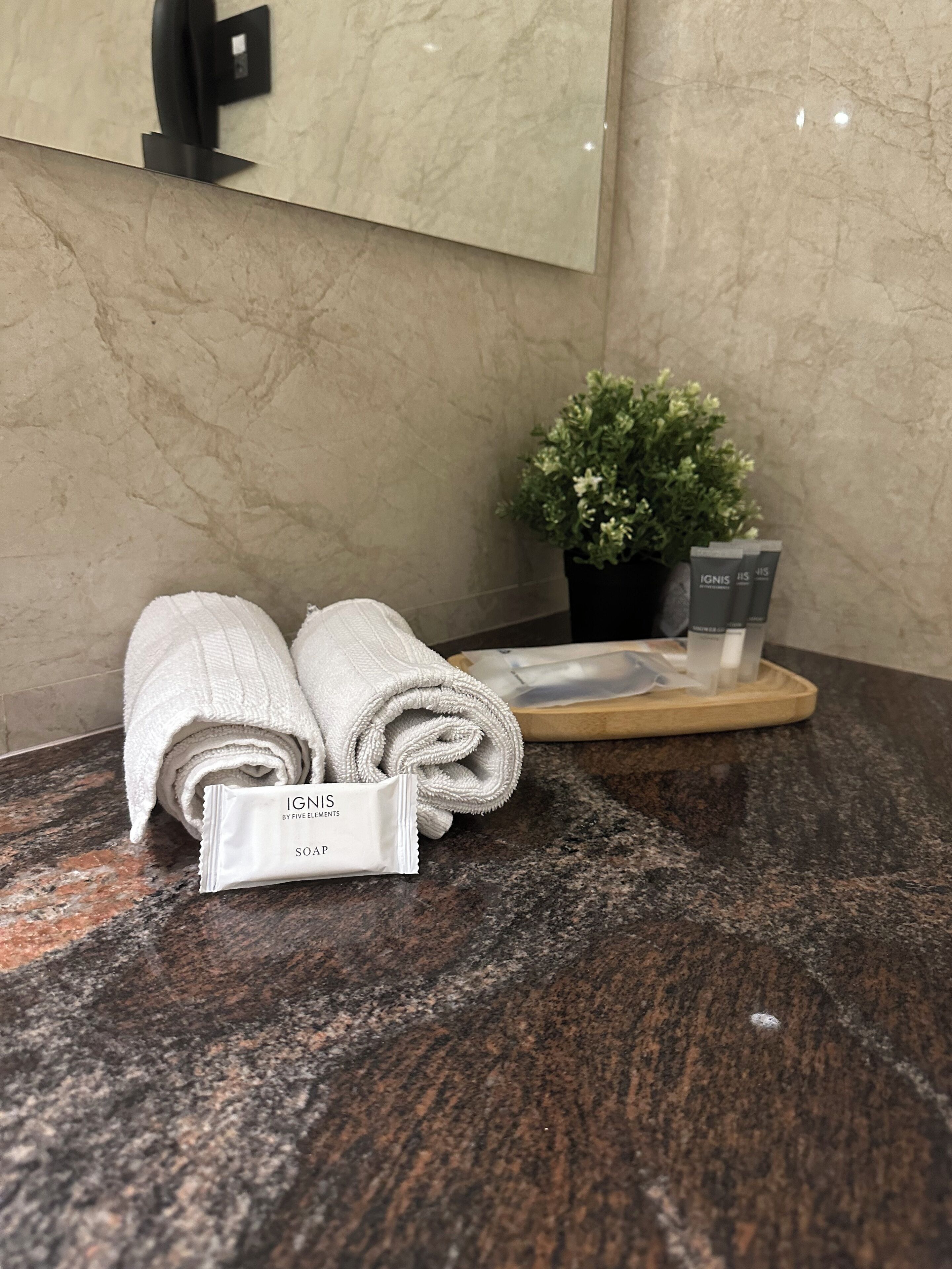 Un baño con encimera de mármol, dos toallas enrolladas, una planta en maceta y un dispensador de jabón.