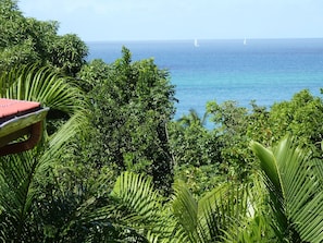 Un paysage tropical luxuriant, avec une végétation dense et une vue sur l’océan.