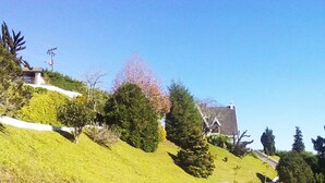 A hillside with a house and a small building, surrounded by trees and greenery. - Casa em Campos do Jordão (Campos do Jordão)
