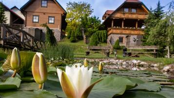 Escape to a serene lakeside haven with a traditional house surrounded by blooming lotus flowers and a picturesque wooden bridge.