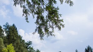 Eine rustikale Holzhütte mit geneigtem Dach, gelegen an einem stillen Teich, umgeben von üppiger Vegetation und Bäumen.