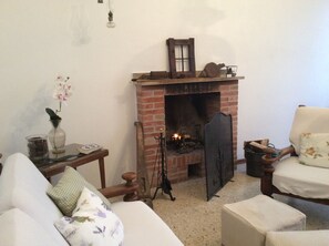 TV, fireplace, books