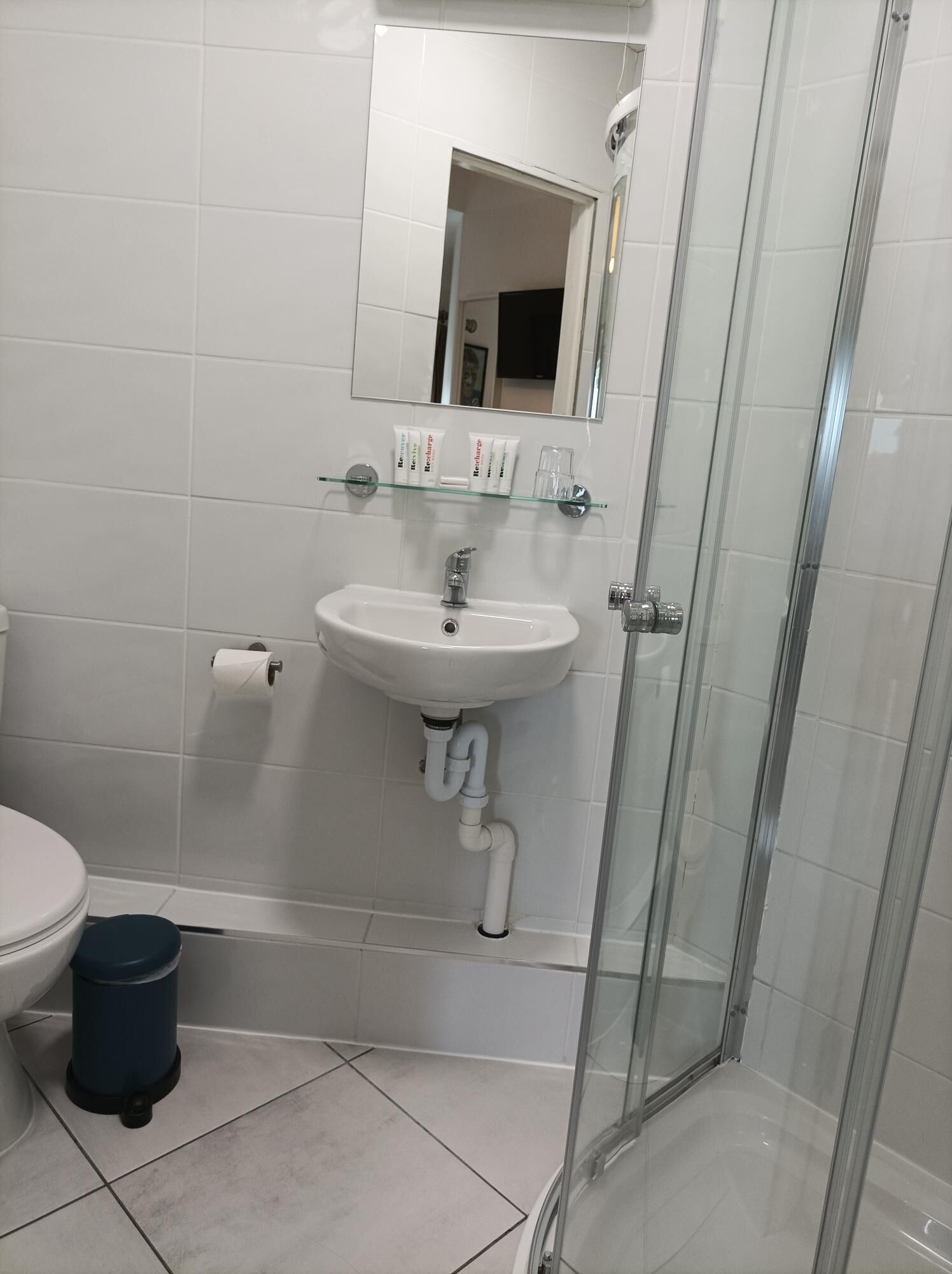 A bathroom with a glass shower enclosure, a white sink, and a toilet.