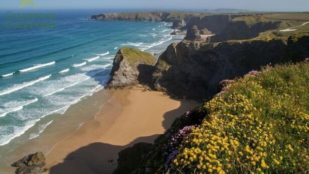 A coastal landscape with cliffs, a beach, and wildflowers. - Callestock Courtyard (Truro)