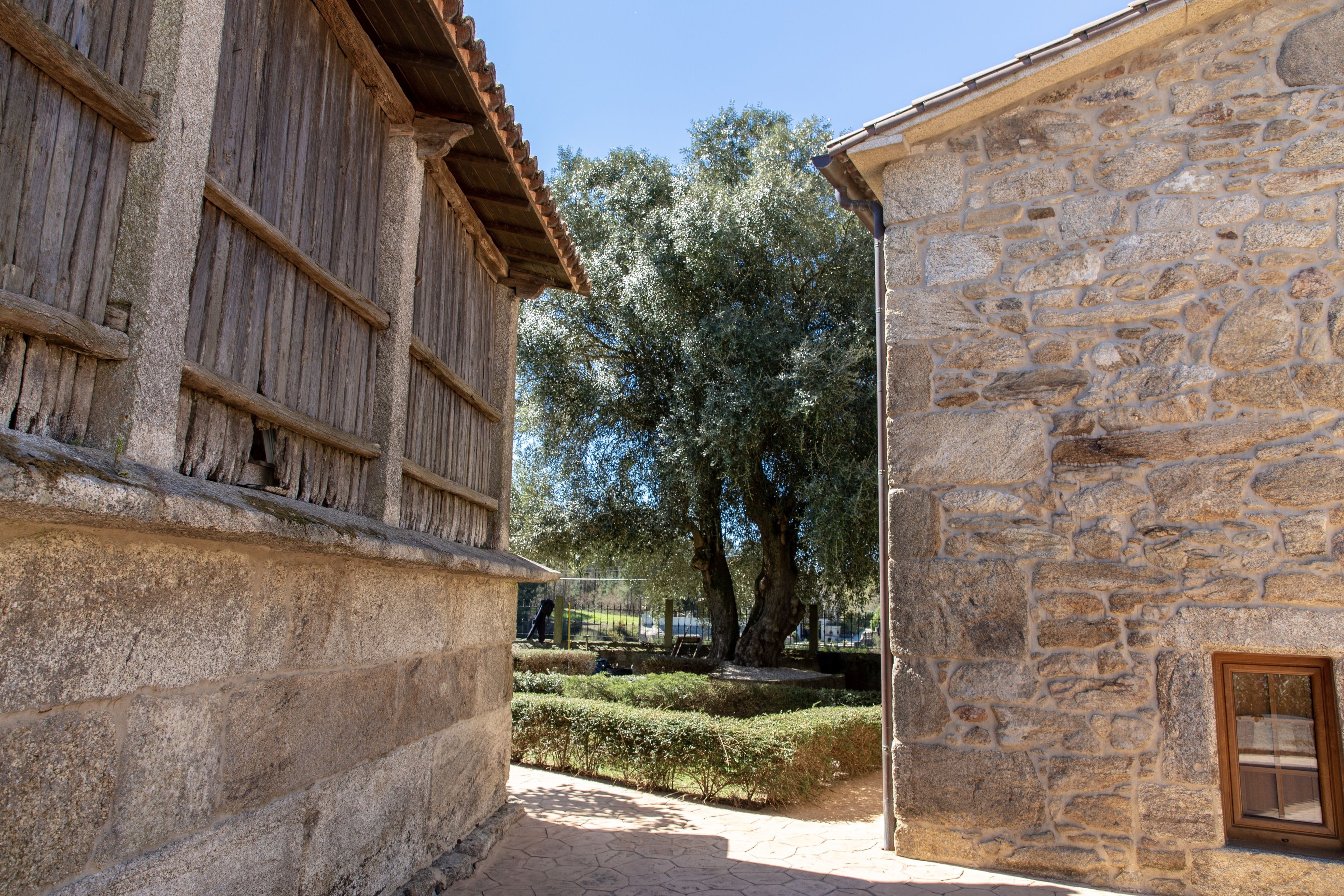 A narrow stone pathway flanked by rustic buildings with wooden facades and stone walls.