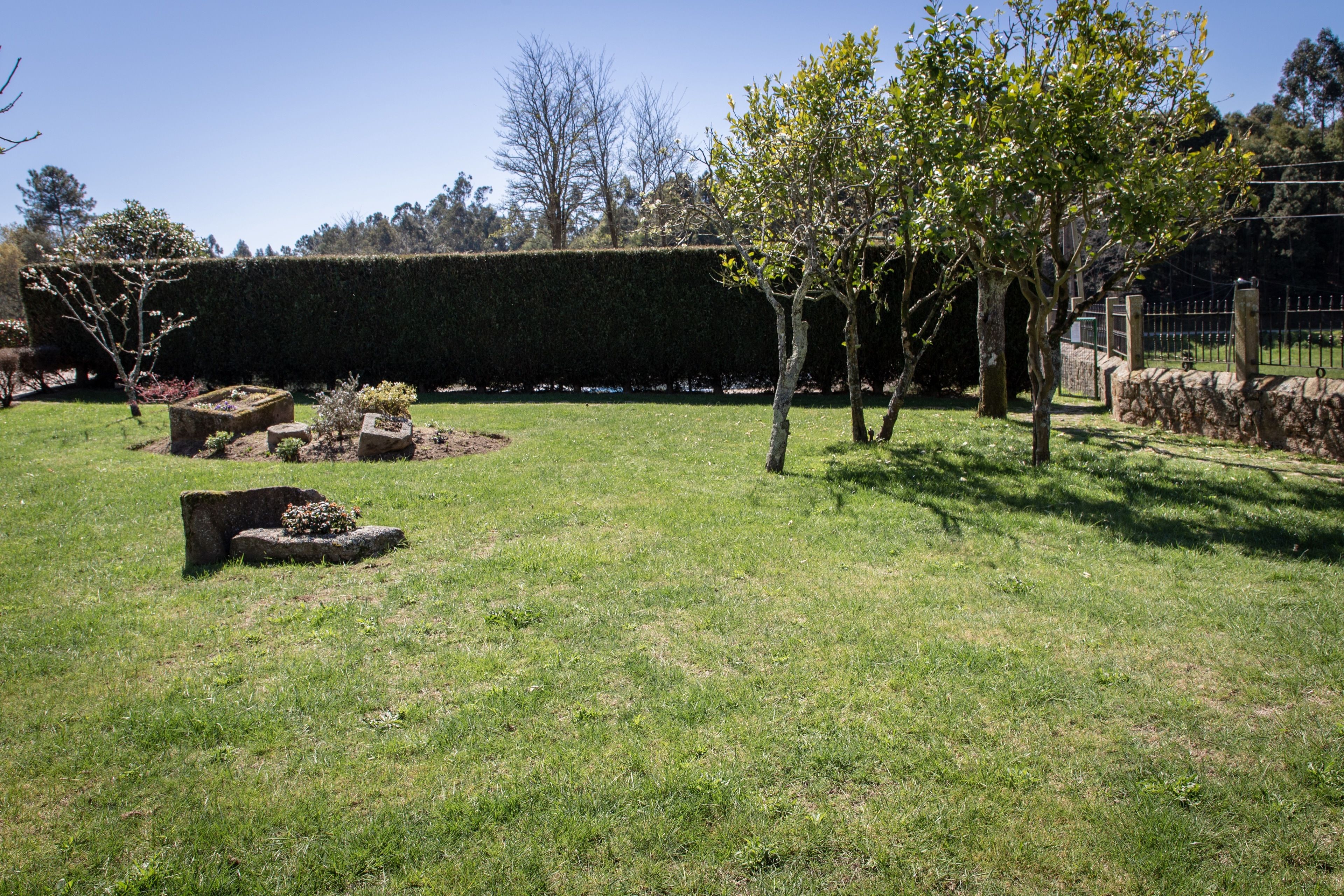 A well-maintained garden with a hedge, stone planters, and a variety of trees.