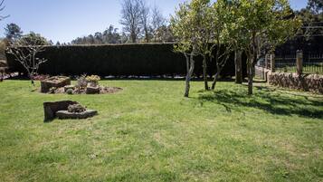 A well-maintained garden with a hedge, stone planters, and a variety of trees.