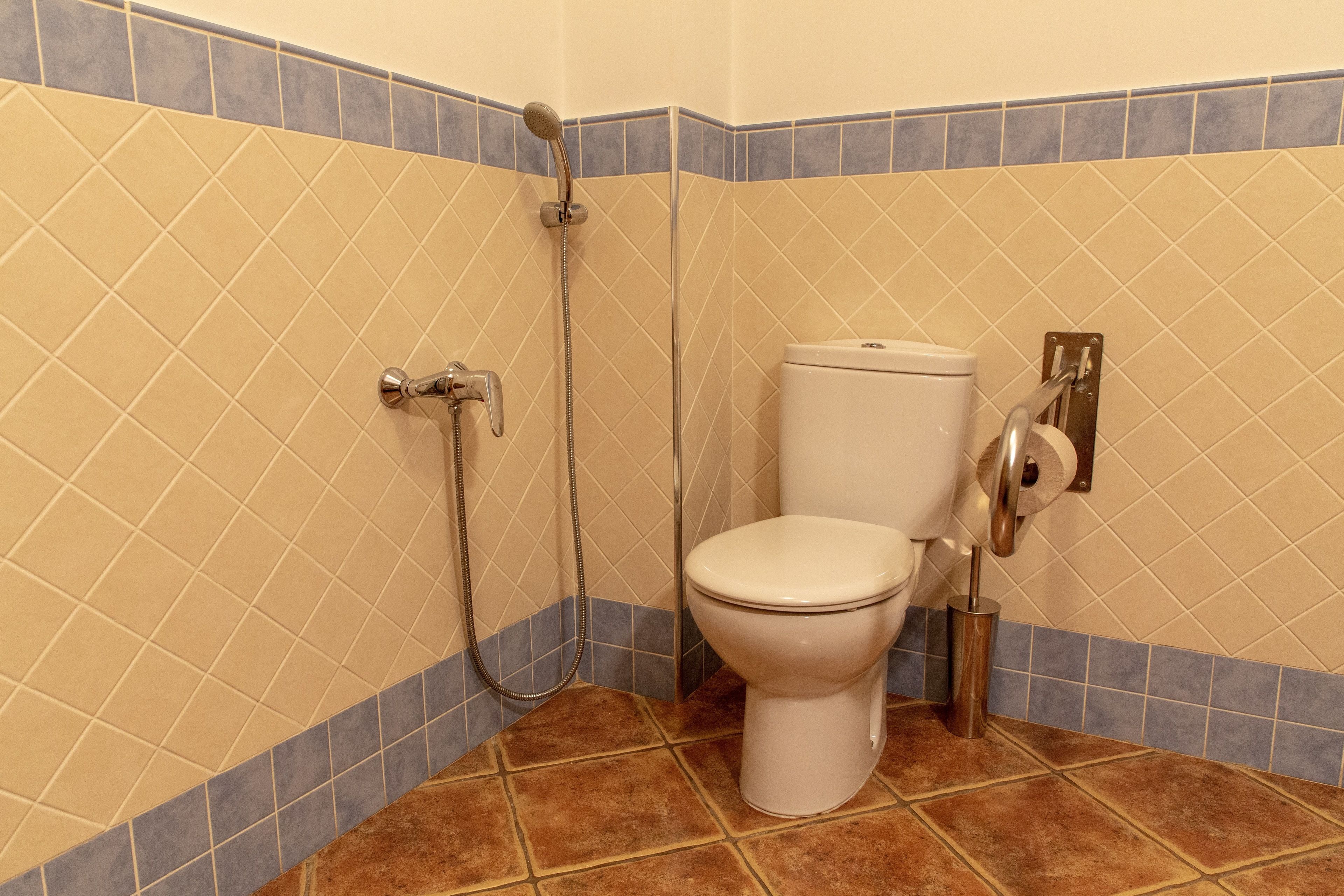 Un baño con inodoro, ducha y porta rollos de papel higiénico.