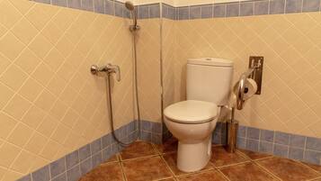 Un baño con inodoro, ducha y porta rollos de papel higiénico.