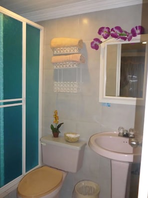 A bathroom with a toilet, sink, and shower.