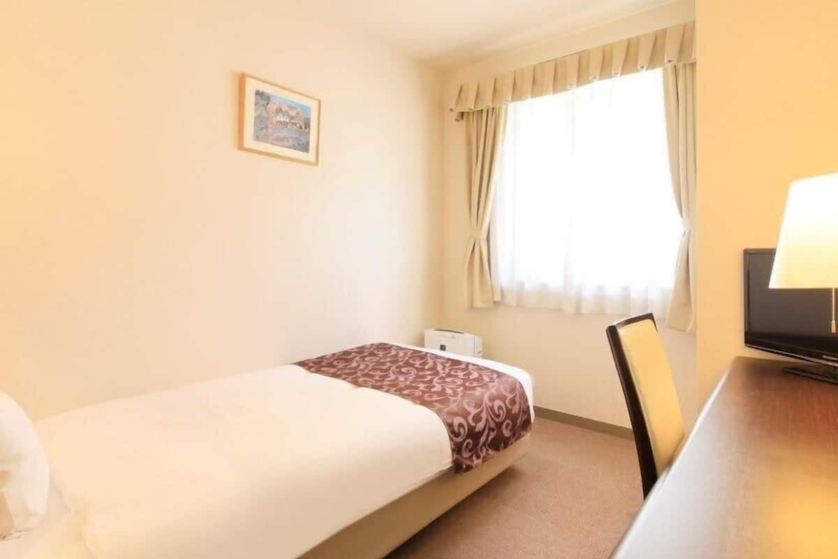 A hotel room with a single bed, a desk, a chair, a television, and a window with curtains.
