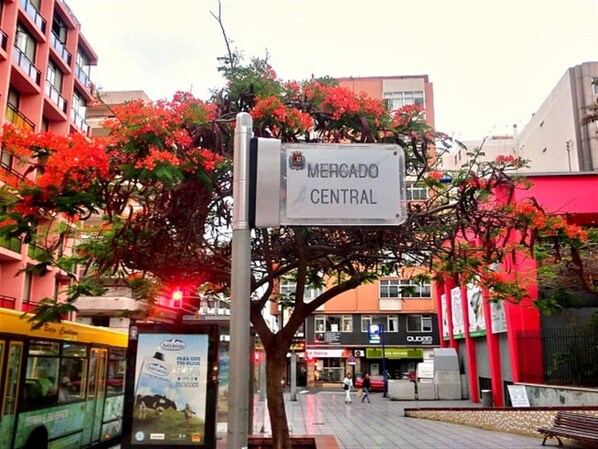 Imagen general