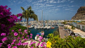 A marina with boats docked, surrounded by greenery and buildings.