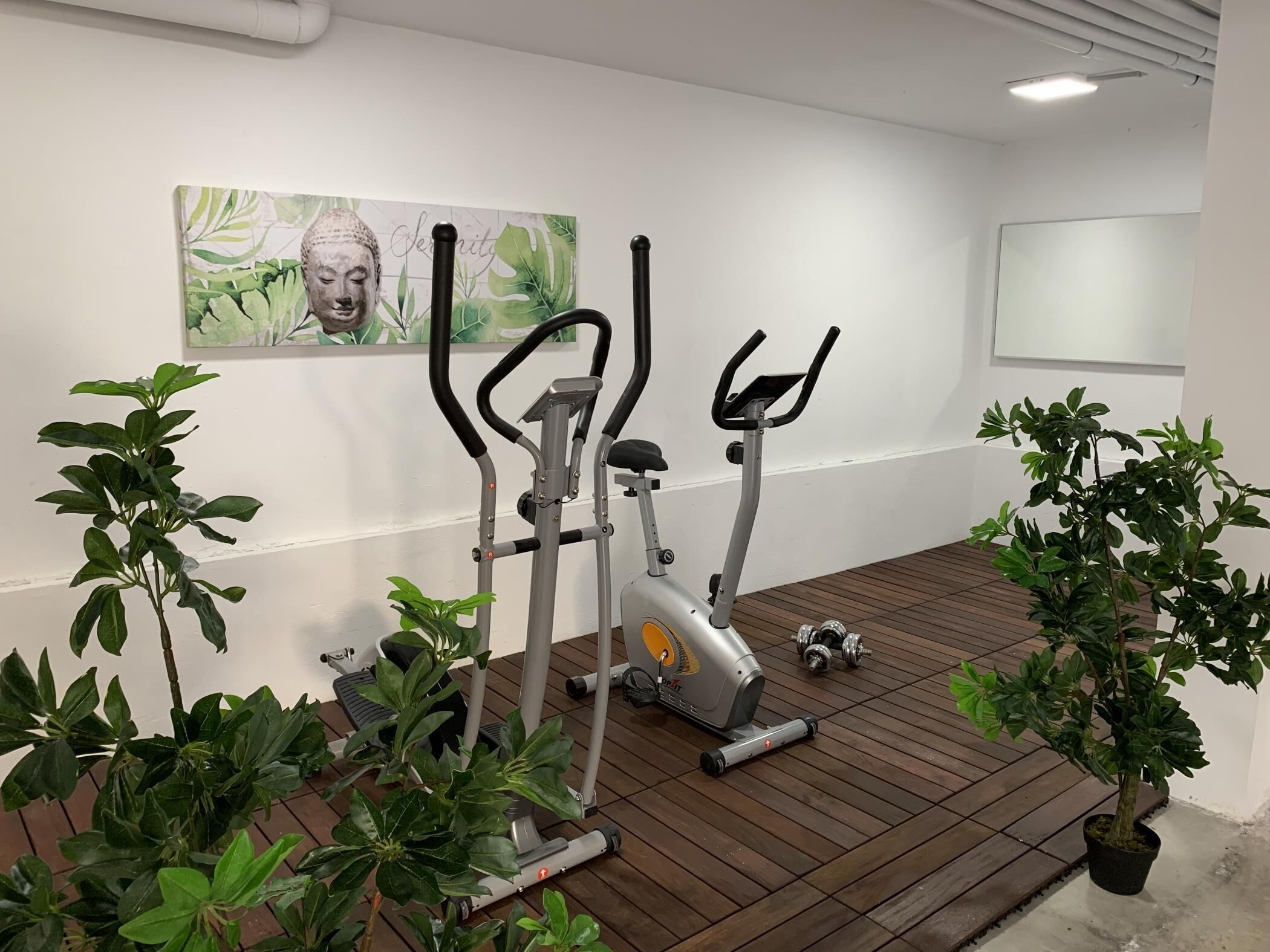 Un gimnasio equipado con máquinas de ejercicio, incluyendo una bicicleta estática y una elíptica, rodeado de plantas en macetas.