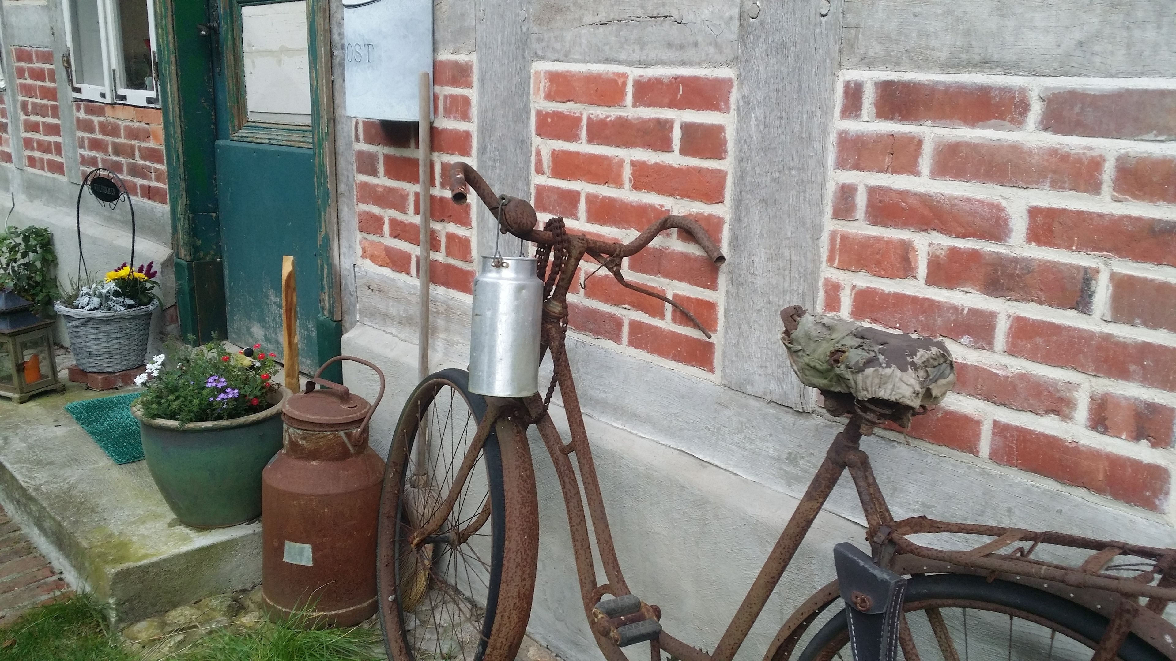 Een rustieke buitenomgeving met een oude fiets, een metalen bak en potplanten.