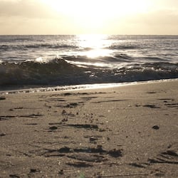 On the beach