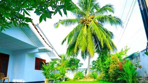 Una casa con un césped cuidado, una palmera y diversas plantas.
