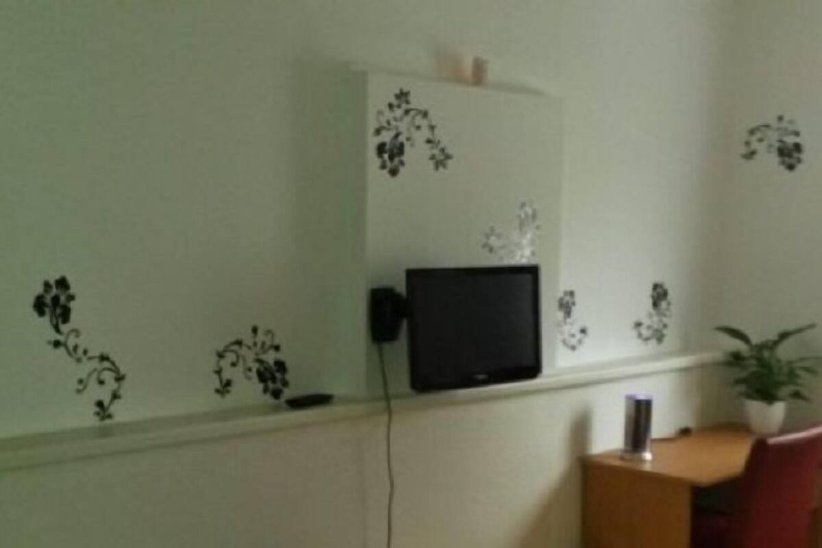 Une pièce comprenant un lit, un bureau, une chaise, un téléviseur et une petite plante.