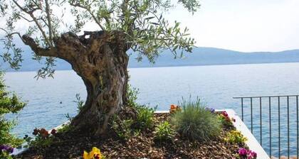 Exclusive villa with direct access and jetty to the lake, and large terrace mi