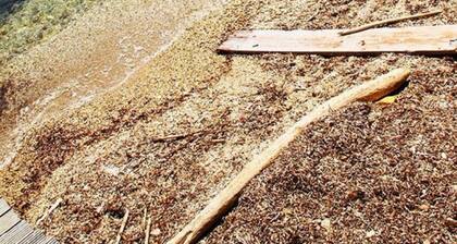 Comfortable duplex on the peninsula of Giens facing Porquerolles sea view