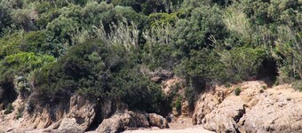 Comfortable duplex on the peninsula of Giens facing Porquerolles sea view