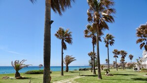 Una zona costera con palmeras, cielo despejado y vista al mar.