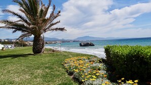 Paisaje costero con una palmera, macizos de flores y vistas al mar y montañas distantes.