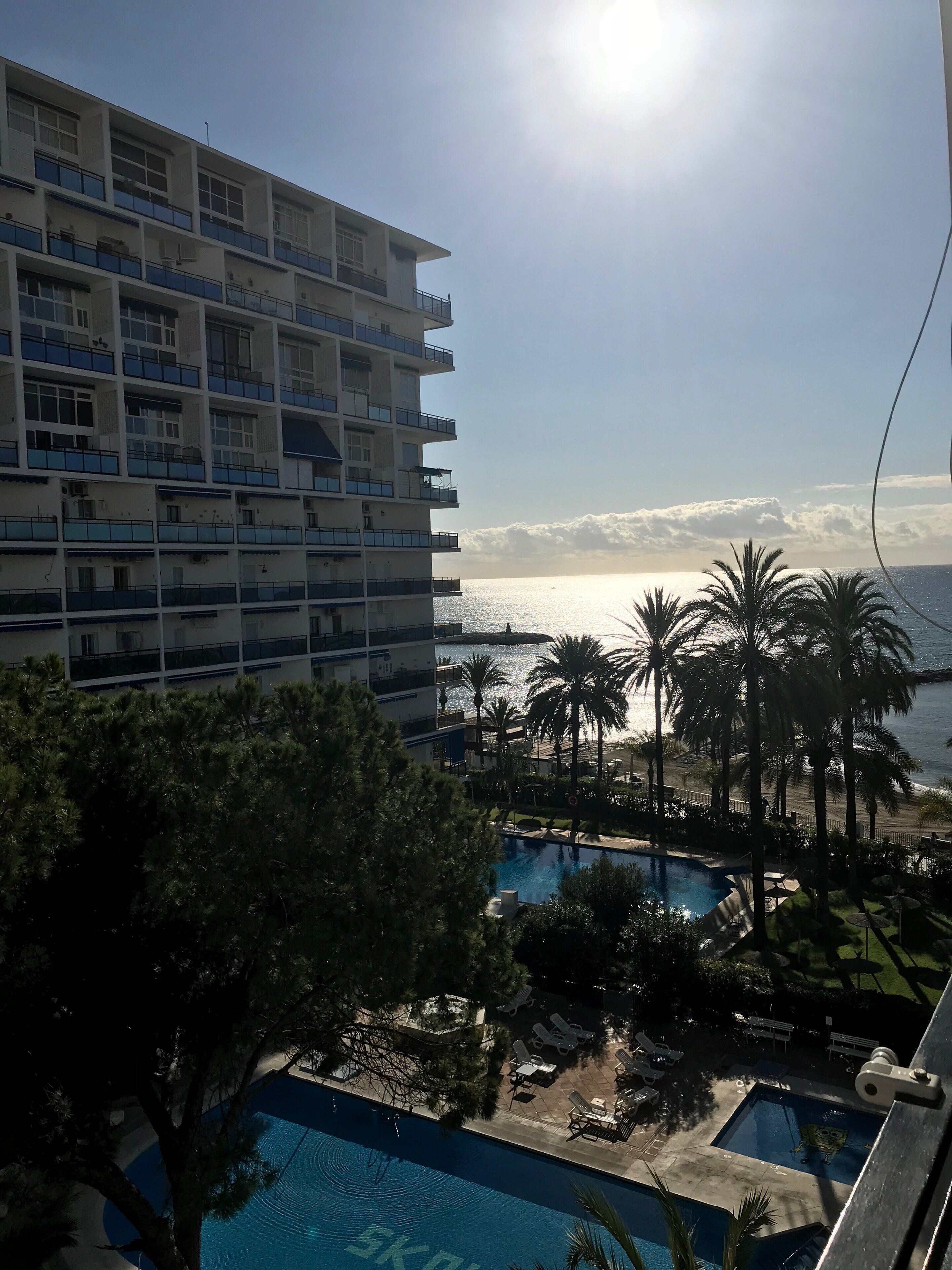 Un hôtel doté d’une piscine, de palmiers et offrant une vue sur l’océan.