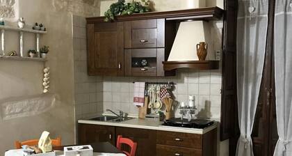 "Art on Stone" house