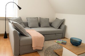 Televisor, reproductor de DVD, llibres i estèreo 