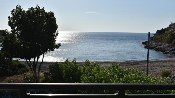 A coastal view with a tree and a clear sky.