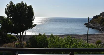 Irene's Beach Front House