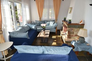 Smart-TV, Kamin