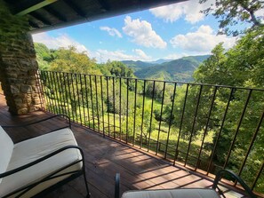 Property grounds - Rustic farmhouse , private pool 5 bedrooms, walk to restaurant, mountain views! (Lucca)