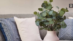 A living room with a grey sofa, a white vase with green plants, and a glass coffee table with a blue coaster. - Plac Zbawiciela Hipster Apartment (Warsaw)