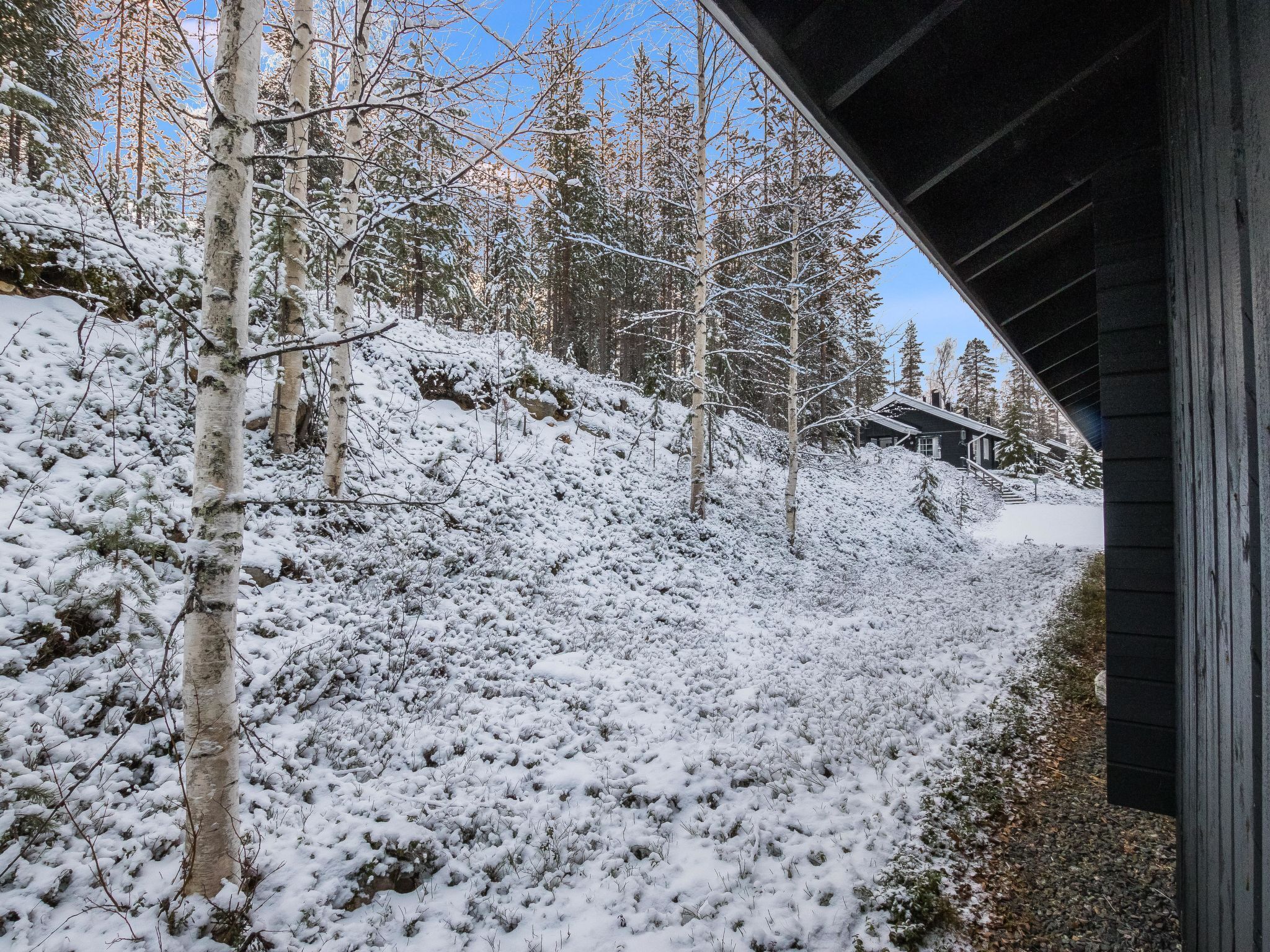 A snowy landscape with birch trees and a house under a bridge.