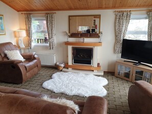 TV, lareira, DVD player, livros