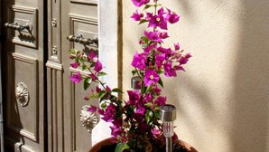 A door with intricate metalwork and a potted plant with pink flowers. - Mas de Bellegou B&B (Portiragnes)