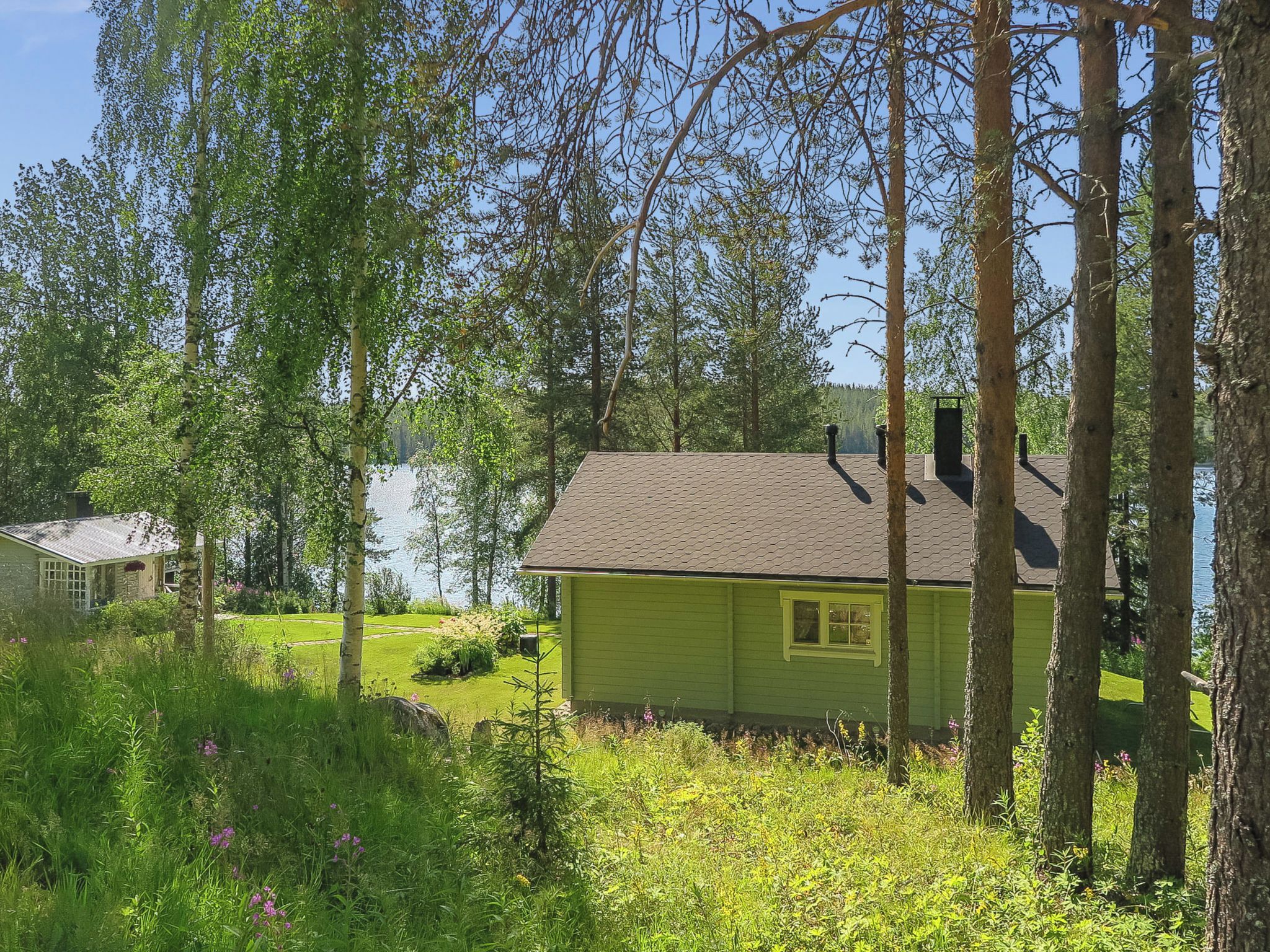 A green house with a sloped roof, surrounded by trees and a body of water.