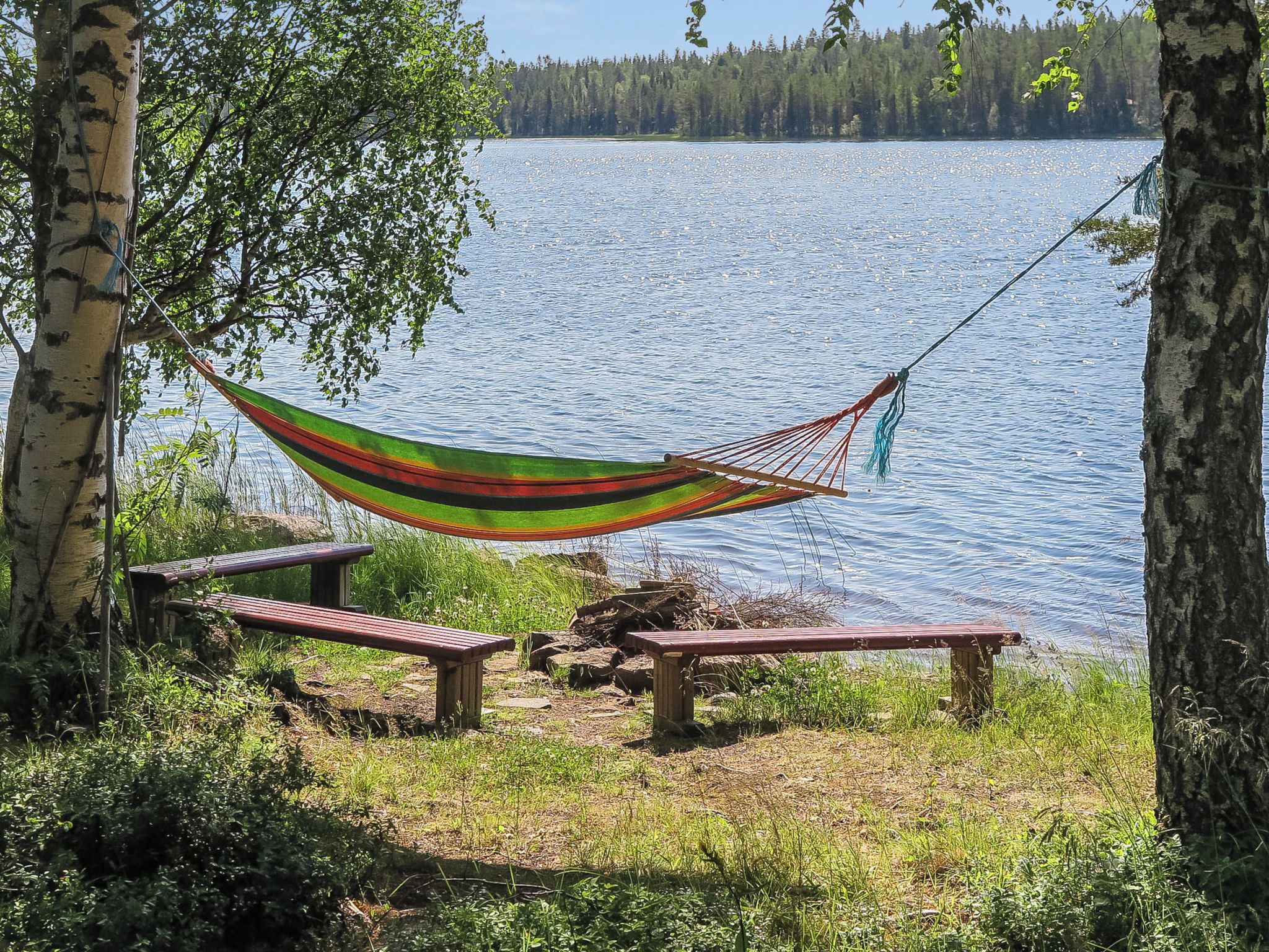 Un hamac tendu entre deux arbres, deux bancs en bois et une vue dégagée sur un lac.